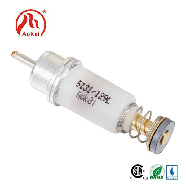 የውሃ ማሞቂያዎች Solenoid Valve